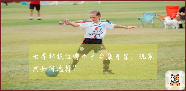 世界杯投注哪个平台最可靠，玩家该如何选择？