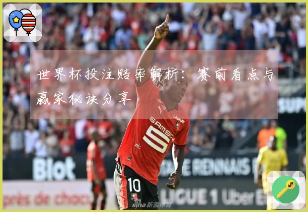 世界杯投注赔率解析：赛前看点与赢家秘诀分享