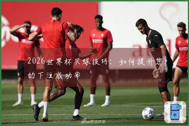 2026世界杯买球技巧：如何提升您的下注成功率