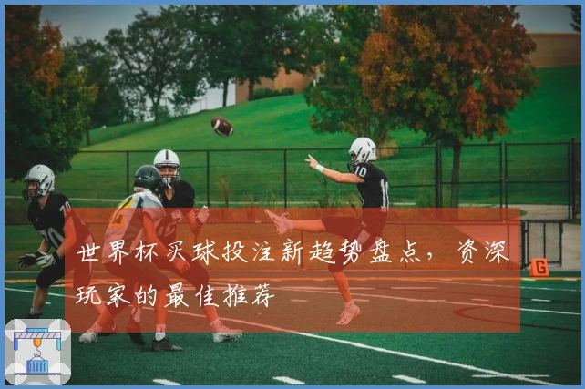 世界杯买球投注新趋势盘点，资深玩家的最佳推荐