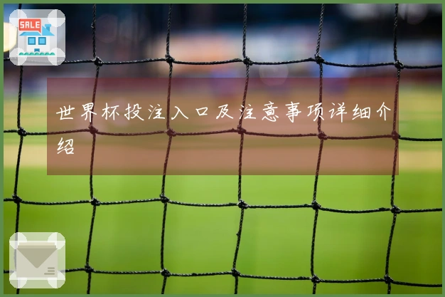 世界杯投注入口及注意事项详细介绍