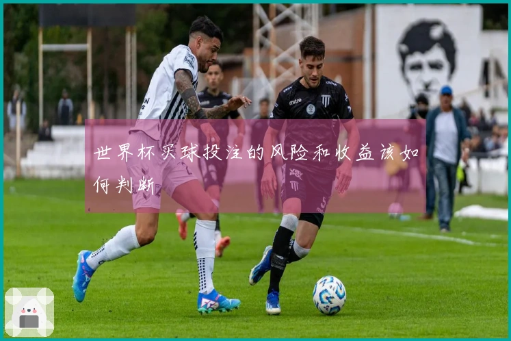 世界杯买球投注的风险和收益该如何判断