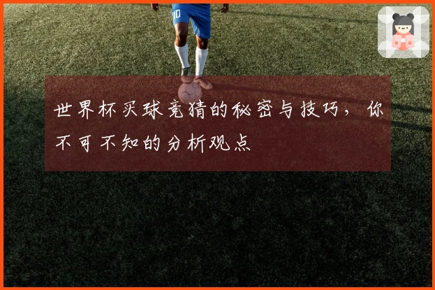 世界杯买球竞猜的秘密与技巧,你不可不知的分析观点