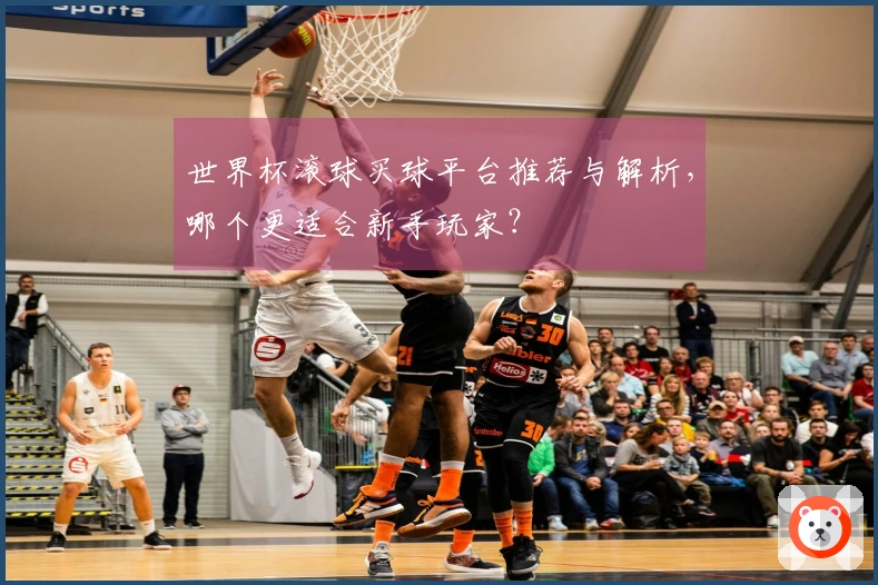 世界杯滚球买球平台推荐与解析，哪个更适合新手玩家？