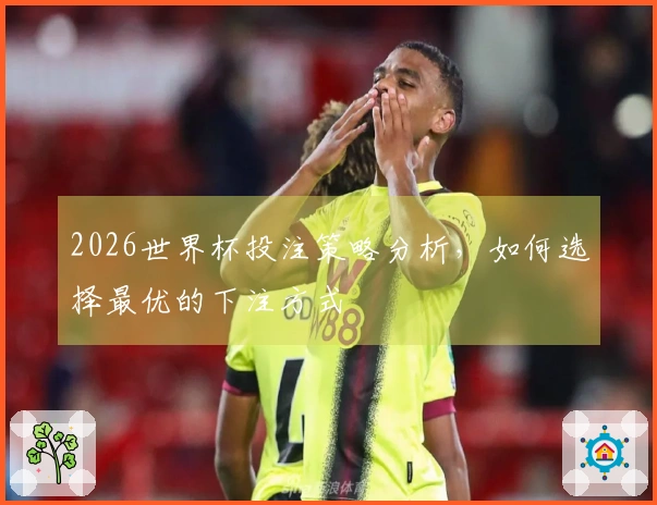 2026世界杯投注策略分析，如何选择最优的下注方式