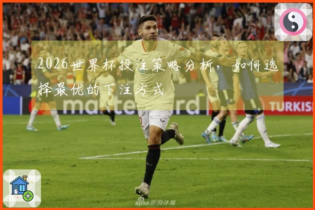2026世界杯投注策略分析，如何选择最优的下注方式