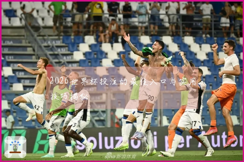 2026世界杯投注的最佳入口与实用技巧揭秘
