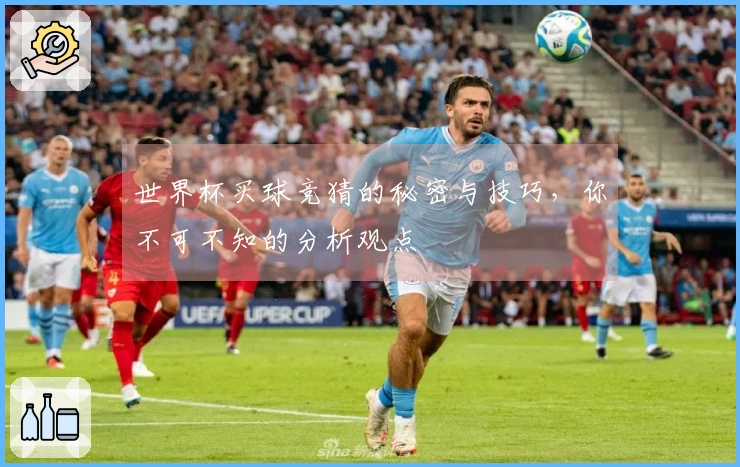 世界杯买球竞猜的秘密与技巧，你不可不知的分析观点