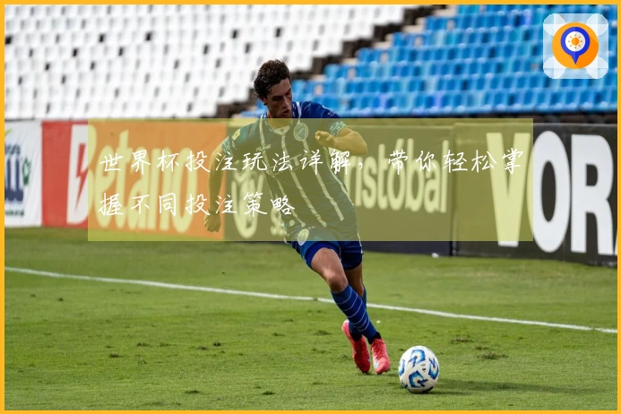 世界杯投注玩法详解，带你轻松掌握不同投注策略