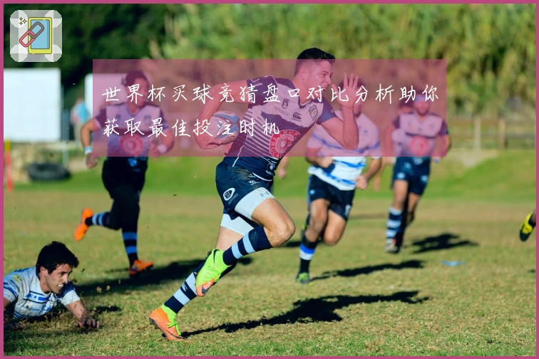 世界杯买球竞猜盘口对比分析助你获取最佳投注时机