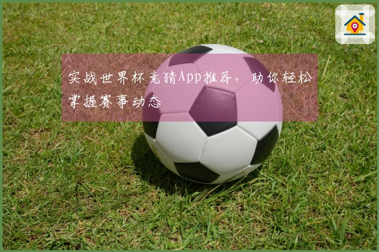 实战世界杯竞猜App推荐，助你轻松掌握赛事动态