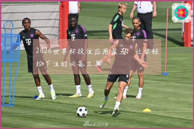 2026世界杯投注应用盘点：让你轻松下注的必备工具