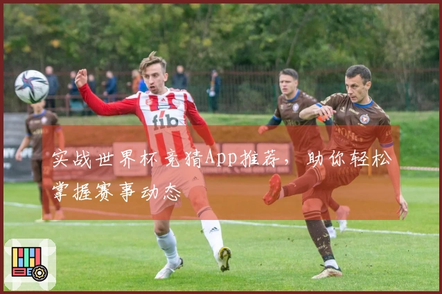 实战世界杯竞猜App推荐，助你轻松掌握赛事动态