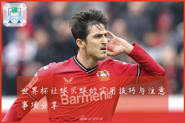 世界杯让球买球的实用技巧与注意事项分享