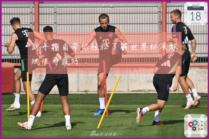 新手指南带你轻松了解世界杯滚球玩法与技巧