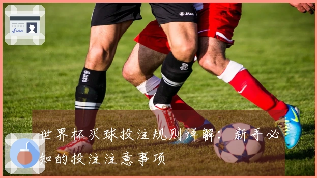 世界杯买球投注规则详解：新手必知的投注注意事项
