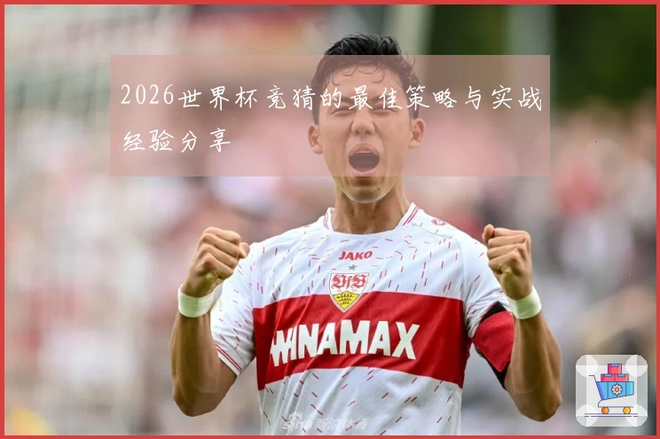 2026世界杯竞猜的最佳策略与实战经验分享
