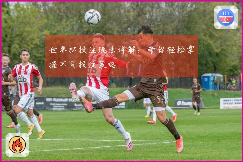 世界杯投注玩法详解，带你轻松掌握不同投注策略