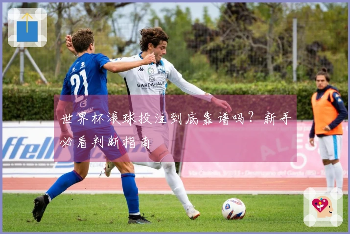 世界杯滚球投注到底靠谱吗？新手必看判断指南