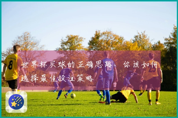 世界杯买球的正确思路，你该如何选择最佳投注策略