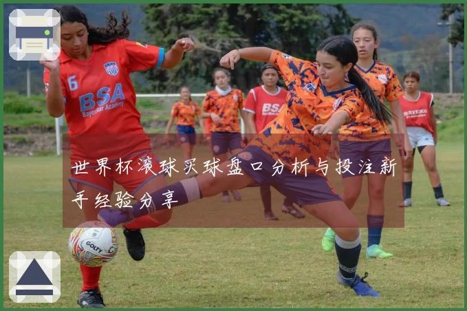 世界杯滚球买球盘口分析与投注新手经验分享