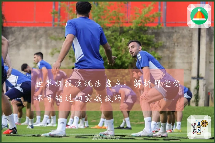 世界杯投注玩法盘点，解析那些你不可错过的实战技巧