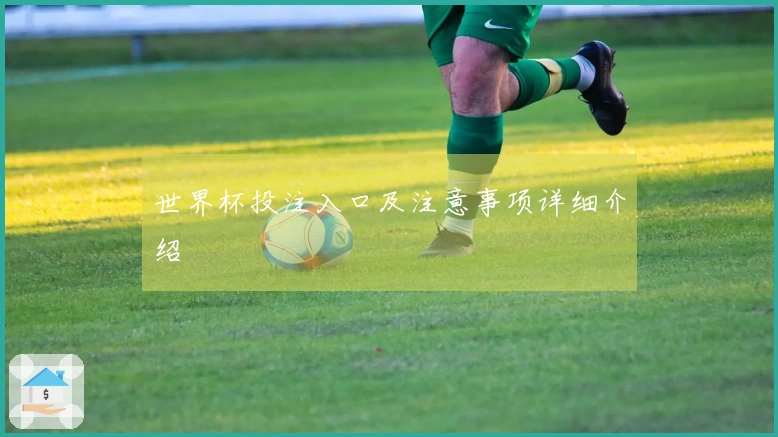 世界杯投注入口及注意事项详细介绍